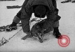 Image le personnel de la marine des États-Unis l'Antarctique, 1947, de la seconde 9 séquences d'archives historiques vidéo 65675062649