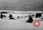 Image le personnel de la marine des États-Unis l'Antarctique, 1947, de la seconde 11 séquences d'archives historiques vidéo 65675062649