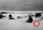 Image le personnel de la marine des États-Unis l'Antarctique, 1947, de la seconde 13 séquences d'archives historiques vidéo 65675062649