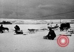 Image le personnel de la marine des États-Unis l'Antarctique, 1947, de la seconde 14 séquences d'archives historiques vidéo 65675062649