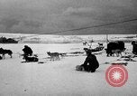 Image le personnel de la marine des États-Unis l'Antarctique, 1947, de la seconde 15 séquences d'archives historiques vidéo 65675062649