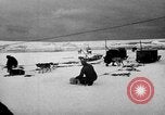 Image le personnel de la marine des États-Unis l'Antarctique, 1947, de la seconde 17 séquences d'archives historiques vidéo 65675062649