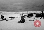 Image le personnel de la marine des États-Unis l'Antarctique, 1947, de la seconde 18 séquences d'archives historiques vidéo 65675062649