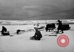 Image le personnel de la marine des États-Unis l'Antarctique, 1947, de la seconde 19 séquences d'archives historiques vidéo 65675062649