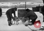 Image le personnel de la marine des États-Unis l'Antarctique, 1947, de la seconde 20 séquences d'archives historiques vidéo 65675062649