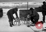 Image le personnel de la marine des États-Unis l'Antarctique, 1947, de la seconde 21 séquences d'archives historiques vidéo 65675062649