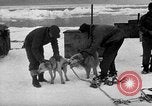 Image le personnel de la marine des États-Unis l'Antarctique, 1947, de la seconde 22 séquences d'archives historiques vidéo 65675062649