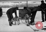 Image le personnel de la marine des États-Unis l'Antarctique, 1947, de la seconde 23 séquences d'archives historiques vidéo 65675062649