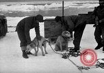 Image le personnel de la marine des États-Unis l'Antarctique, 1947, de la seconde 24 séquences d'archives historiques vidéo 65675062649