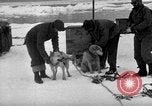 Image le personnel de la marine des États-Unis l'Antarctique, 1947, de la seconde 25 séquences d'archives historiques vidéo 65675062649