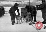 Image le personnel de la marine des États-Unis l'Antarctique, 1947, de la seconde 26 séquences d'archives historiques vidéo 65675062649