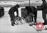 Image le personnel de la marine des États-Unis l'Antarctique, 1947, de la seconde 27 séquences d'archives historiques vidéo 65675062649