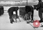 Image le personnel de la marine des États-Unis l'Antarctique, 1947, de la seconde 28 séquences d'archives historiques vidéo 65675062649