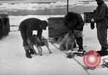 Image le personnel de la marine des États-Unis l'Antarctique, 1947, de la seconde 29 séquences d'archives historiques vidéo 65675062649