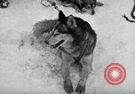 Image le personnel de la marine des États-Unis l'Antarctique, 1947, de la seconde 32 séquences d'archives historiques vidéo 65675062649