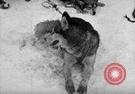 Image le personnel de la marine des États-Unis l'Antarctique, 1947, de la seconde 33 séquences d'archives historiques vidéo 65675062649
