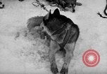 Image le personnel de la marine des États-Unis l'Antarctique, 1947, de la seconde 34 séquences d'archives historiques vidéo 65675062649
