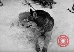 Image le personnel de la marine des États-Unis l'Antarctique, 1947, de la seconde 36 séquences d'archives historiques vidéo 65675062649