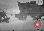 Image le personnel de la marine des États-Unis l'Antarctique, 1947, de la seconde 44 séquences d'archives historiques vidéo 65675062649