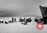 Image le personnel de la marine des États-Unis l'Antarctique, 1947, de la seconde 54 séquences d'archives historiques vidéo 65675062649