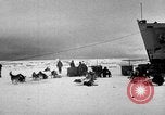Image le personnel de la marine des États-Unis l'Antarctique, 1947, de la seconde 59 séquences d'archives historiques vidéo 65675062649