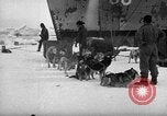 Image le personnel de la marine des États-Unis l'Antarctique, 1947, de la seconde 61 séquences d'archives historiques vidéo 65675062649