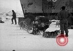 Image le personnel de la marine des États-Unis l'Antarctique, 1947, de la seconde 62 séquences d'archives historiques vidéo 65675062649