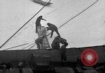 Image le personnel de la marine des États-Unis l'Antarctique, 1947, de la seconde 40 séquences d'archives historiques vidéo 65675062650