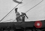 Image le personnel de la marine des États-Unis l'Antarctique, 1947, de la seconde 44 séquences d'archives historiques vidéo 65675062650