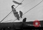 Image le personnel de la marine des États-Unis l'Antarctique, 1947, de la seconde 49 séquences d'archives historiques vidéo 65675062650