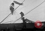 Image le personnel de la marine des États-Unis l'Antarctique, 1947, de la seconde 51 séquences d'archives historiques vidéo 65675062650
