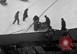 Image le personnel de la marine des États-Unis l'Antarctique, 1947, de la seconde 52 séquences d'archives historiques vidéo 65675062650