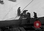 Image le personnel de la marine des États-Unis l'Antarctique, 1947, de la seconde 54 séquences d'archives historiques vidéo 65675062650