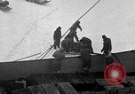 Image le personnel de la marine des États-Unis l'Antarctique, 1947, de la seconde 55 séquences d'archives historiques vidéo 65675062650