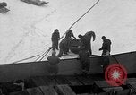 Image le personnel de la marine des États-Unis l'Antarctique, 1947, de la seconde 56 séquences d'archives historiques vidéo 65675062650
