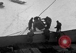 Image le personnel de la marine des États-Unis l'Antarctique, 1947, de la seconde 57 séquences d'archives historiques vidéo 65675062650