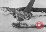 Image le personnel de la marine des États-Unis l'Antarctique, 1947, de la seconde 31 séquences d'archives historiques vidéo 65675062652