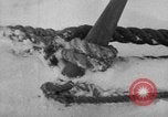 Image le personnel de la marine des États-Unis l'Antarctique, 1947, de la seconde 34 séquences d'archives historiques vidéo 65675062652