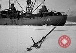 Image le personnel de la marine des États-Unis l'Antarctique, 1947, de la seconde 55 séquences d'archives historiques vidéo 65675062652