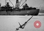 Image le personnel de la marine des États-Unis l'Antarctique, 1947, de la seconde 56 séquences d'archives historiques vidéo 65675062652