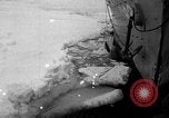 Image le personnel de la marine des États-Unis l'Antarctique, 1947, de la seconde 8 séquences d'archives historiques vidéo 65675062653