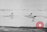 Image le personnel de la marine des États-Unis l'Antarctique, 1947, de la seconde 4 séquences d'archives historiques vidéo 65675062654