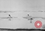 Image le personnel de la marine des États-Unis l'Antarctique, 1947, de la seconde 7 séquences d'archives historiques vidéo 65675062654
