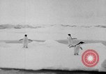 Image le personnel de la marine des États-Unis l'Antarctique, 1947, de la seconde 8 séquences d'archives historiques vidéo 65675062654