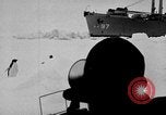 Image le personnel de la marine des États-Unis l'Antarctique, 1947, de la seconde 9 séquences d'archives historiques vidéo 65675062654