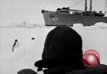 Image le personnel de la marine des États-Unis l'Antarctique, 1947, de la seconde 11 séquences d'archives historiques vidéo 65675062654