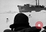 Image le personnel de la marine des États-Unis l'Antarctique, 1947, de la seconde 12 séquences d'archives historiques vidéo 65675062654