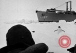Image le personnel de la marine des États-Unis l'Antarctique, 1947, de la seconde 14 séquences d'archives historiques vidéo 65675062654
