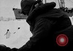 Image le personnel de la marine des États-Unis l'Antarctique, 1947, de la seconde 18 séquences d'archives historiques vidéo 65675062654