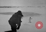 Image le personnel de la marine des États-Unis l'Antarctique, 1947, de la seconde 20 séquences d'archives historiques vidéo 65675062654